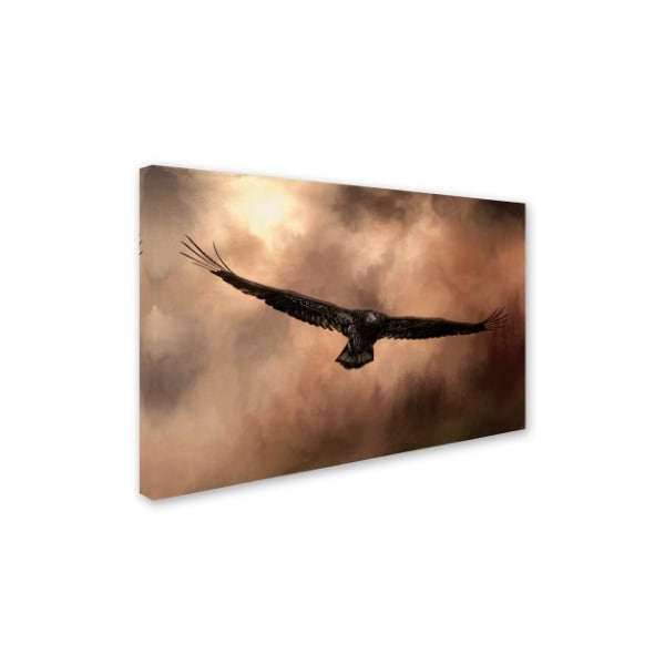 Jai Johnson 'Juvenile Bald Eagle In The Sepia Sky' Canvas Art,16x24